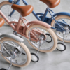 Holiday Package little tokyobike - 画像 (11)