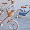 Holiday Package little tokyobike - 画像 (9)